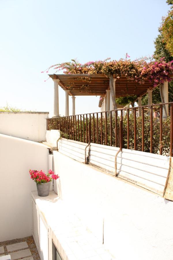 Miradouro'S Loft Apartman Setúbal Kültér fotó